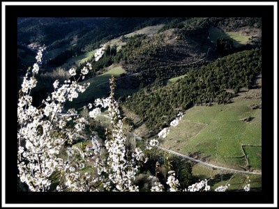 Liebana