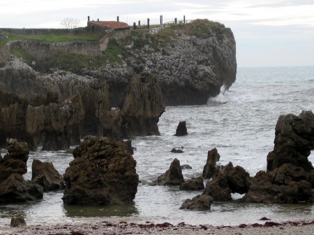 Playa de toro