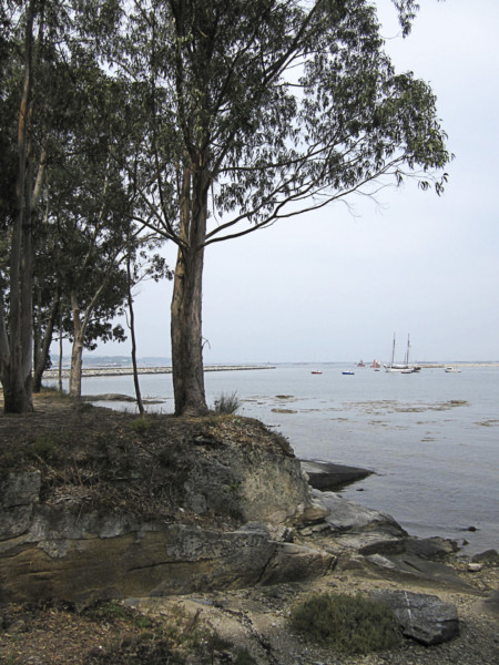 Entre tierra mar