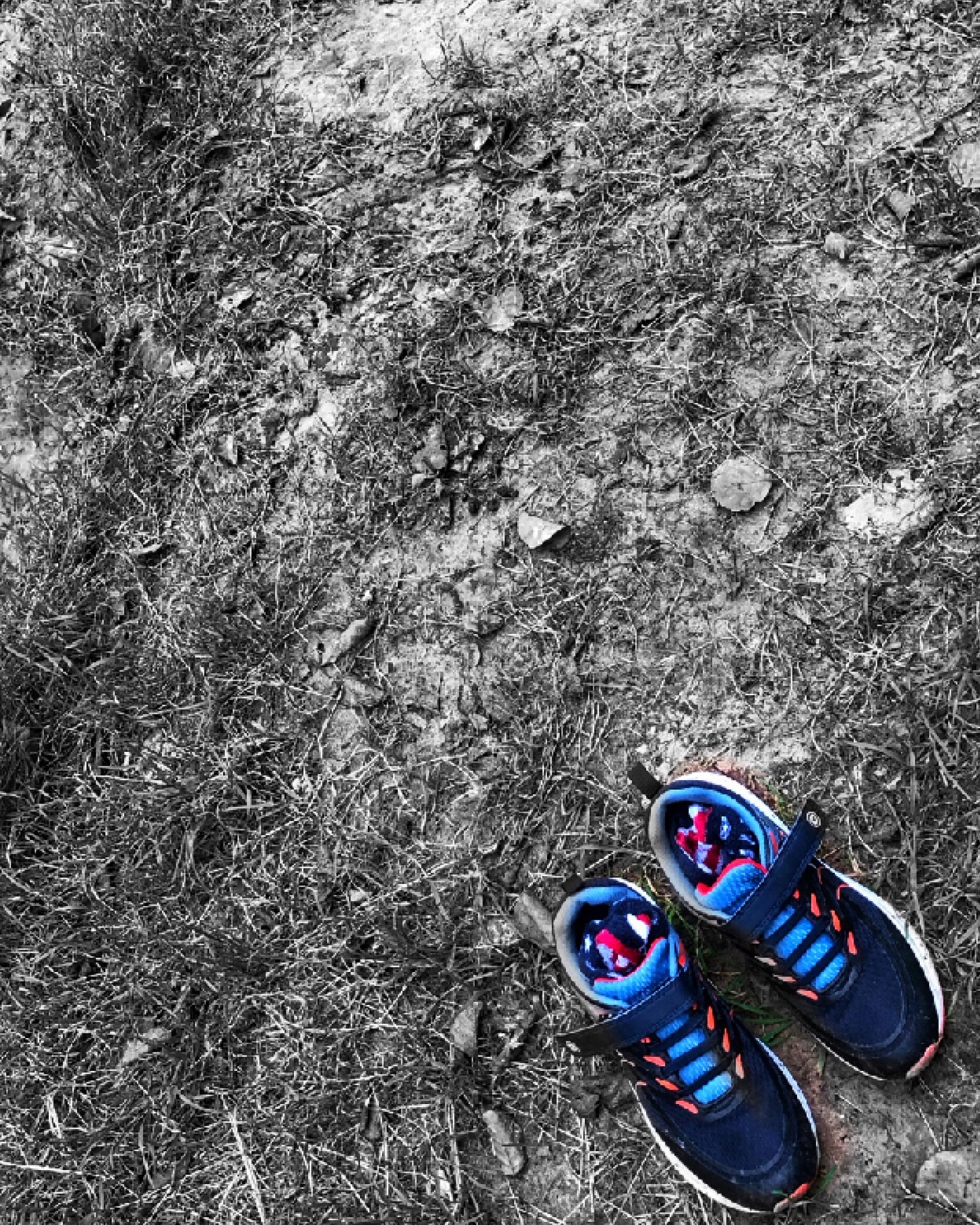 El mundo en mis pies